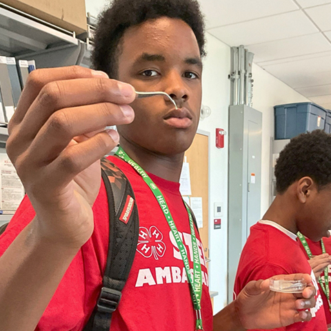 4-H STEM Ambassadors program